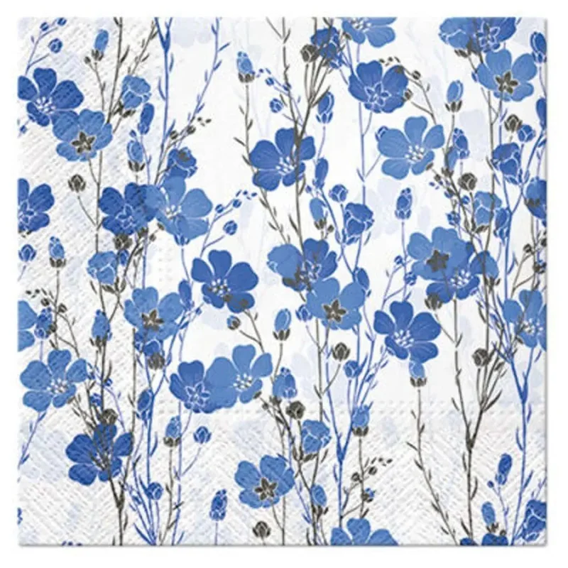 ciel-en-fete3424366